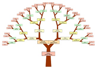 Sample 6 Ancesters Six Generations